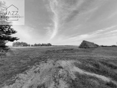 Zdjęcie 15204247