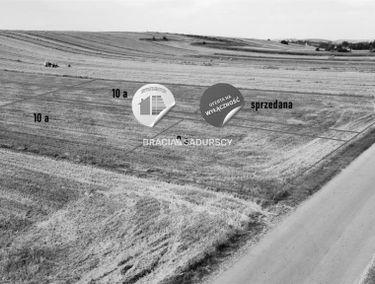 Zdjęcie 15204524