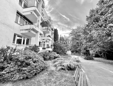 Zdjęcie 15205192