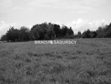 Zdjęcie 15205651