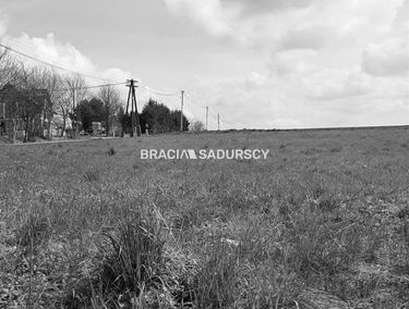 Zdjęcie 15205658