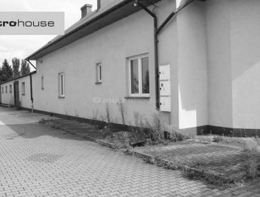 Zdjęcie 15206047