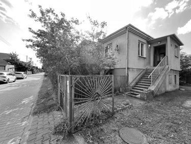 Zdjęcie 15206497