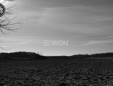 Zdjęcie 15206632