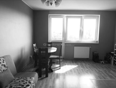Zdjęcie 15206883
