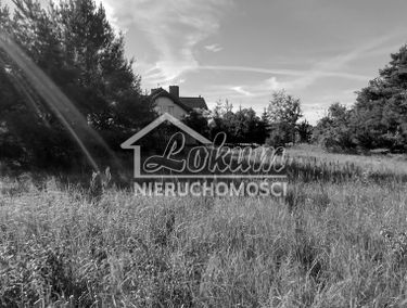 Zdjęcie 15206977