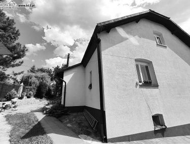 Zdjęcie 15206989