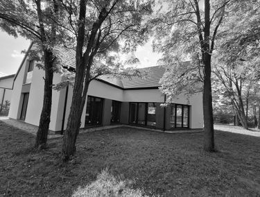 Zdjęcie 15207098