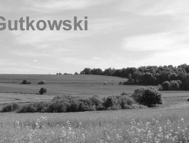 Zdjęcie 15207258