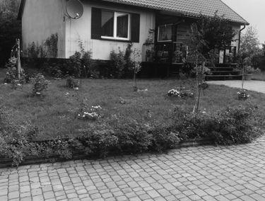 Zdjęcie 15207864