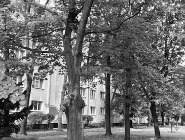 Zdjęcie 15207989
