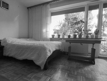 Zdjęcie 15208486