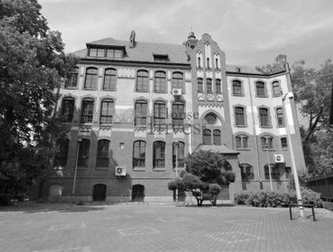 Zdjęcie 15208670