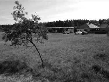 Zdjęcie 15209105