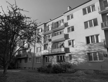 Zdjęcie 15209260