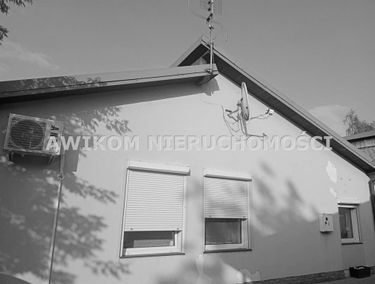 Zdjęcie 15209984