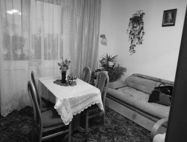 Zdjęcie 15209988