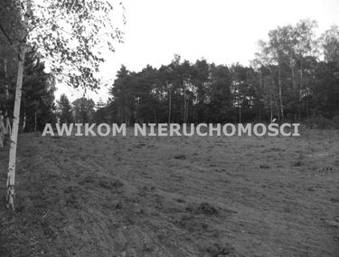 Zdjęcie 15210798