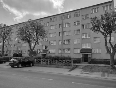 Zdjęcie 15211835