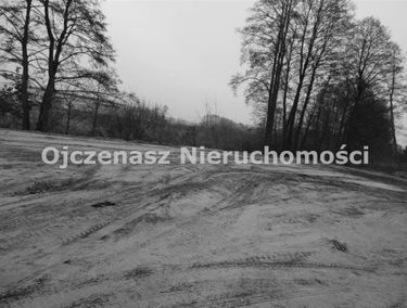 Zdjęcie 15212043