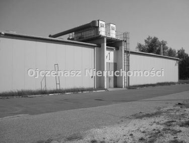 Zdjęcie 15212052