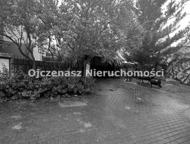 Zdjęcie 15212064