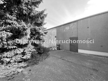 Zdjęcie 15212070