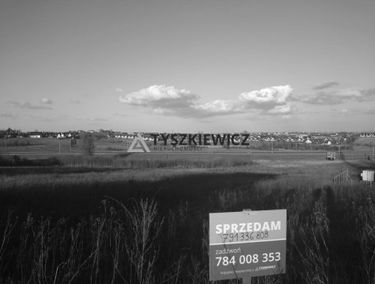 Zdjęcie 15213640