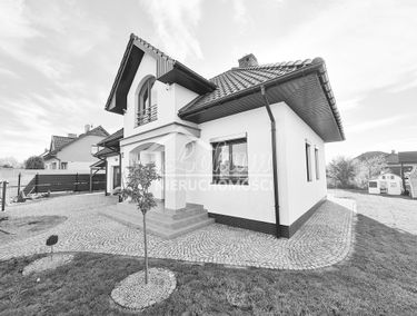 Zdjęcie 15214781