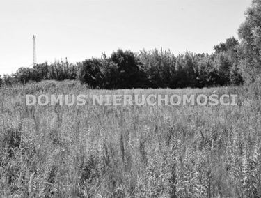 Zdjęcie 15215026