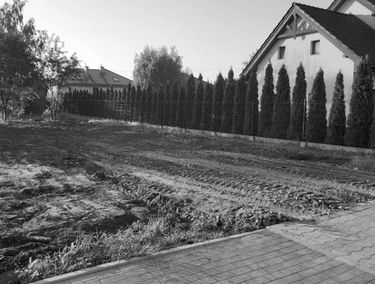 Zdjęcie 15215365
