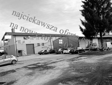 Zdjęcie 15215624
