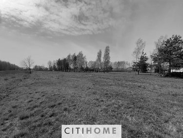 Zdjęcie 15216136