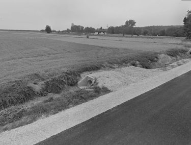 Zdjęcie 15216252