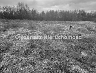Zdjęcie 15216491