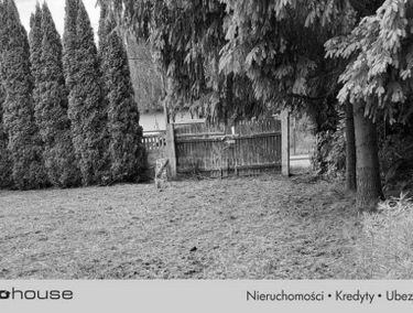 Zdjęcie 15216912