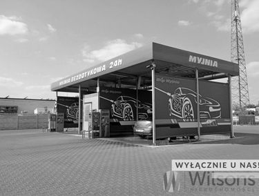 Zdjęcie 15217143