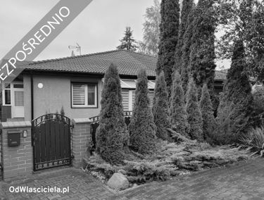 Zdjęcie 15217223