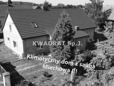 Zdjęcie 15217560