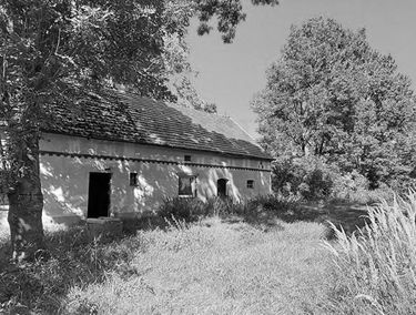 Zdjęcie 15218347