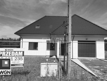Zdjęcie 15218455