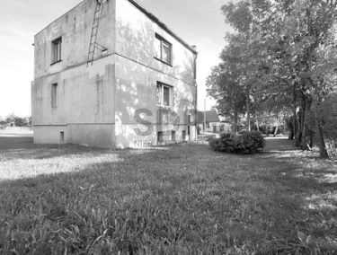 Zdjęcie 15218990