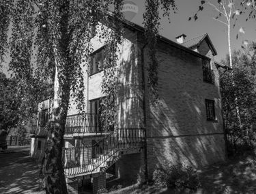 Zdjęcie 15218999