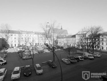 Zdjęcie 15219294