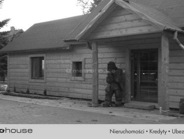 Zdjęcie 15219534