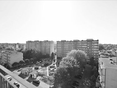 Zdjęcie 15219912