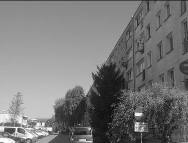 Zdjęcie 15221767