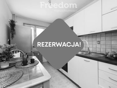 Zdjęcie 15221824