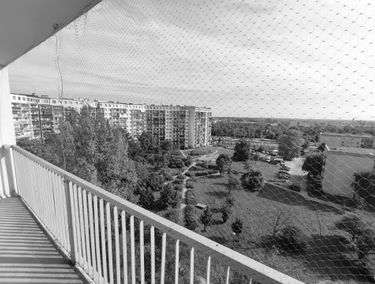 Zdjęcie 15221930