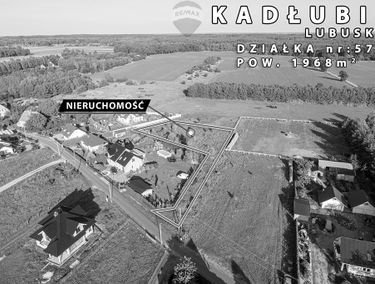 Zdjęcie 15221931